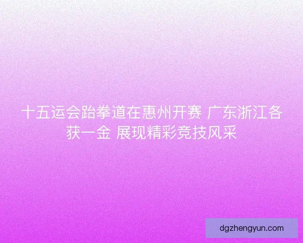 十五运会跆拳道在惠州开赛 广东浙江各获一金 展现精彩竞技风采